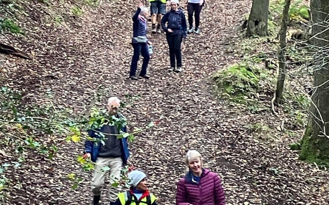Wellington and The Ercall Coronation Walk